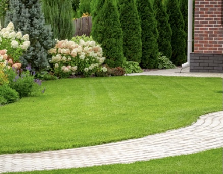 Looking to have your Garden Landscaped? We’re the people to call